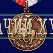 medal-za-kazachyu-volyu-1.1000×800
